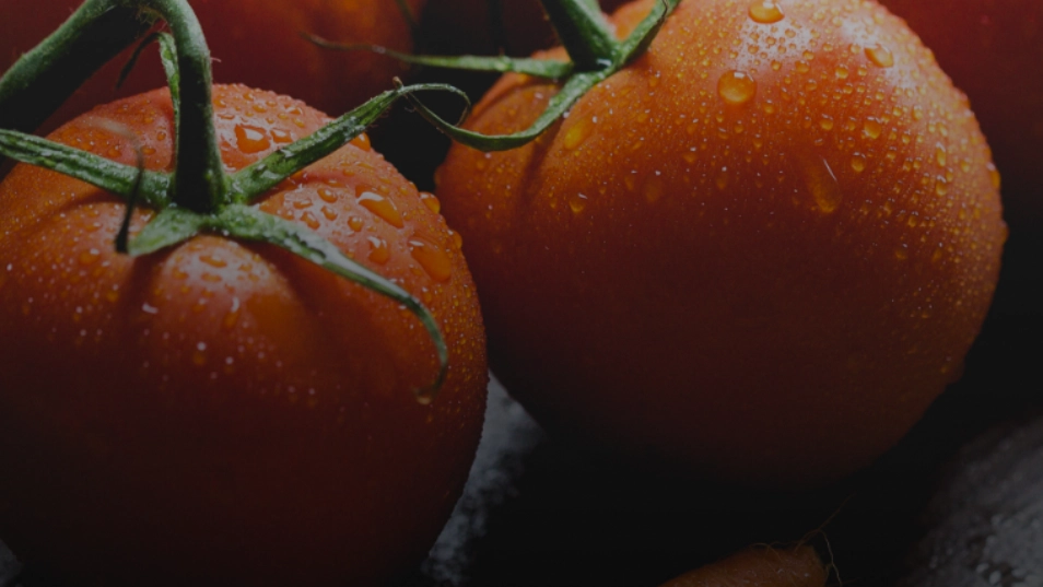 Alimentos