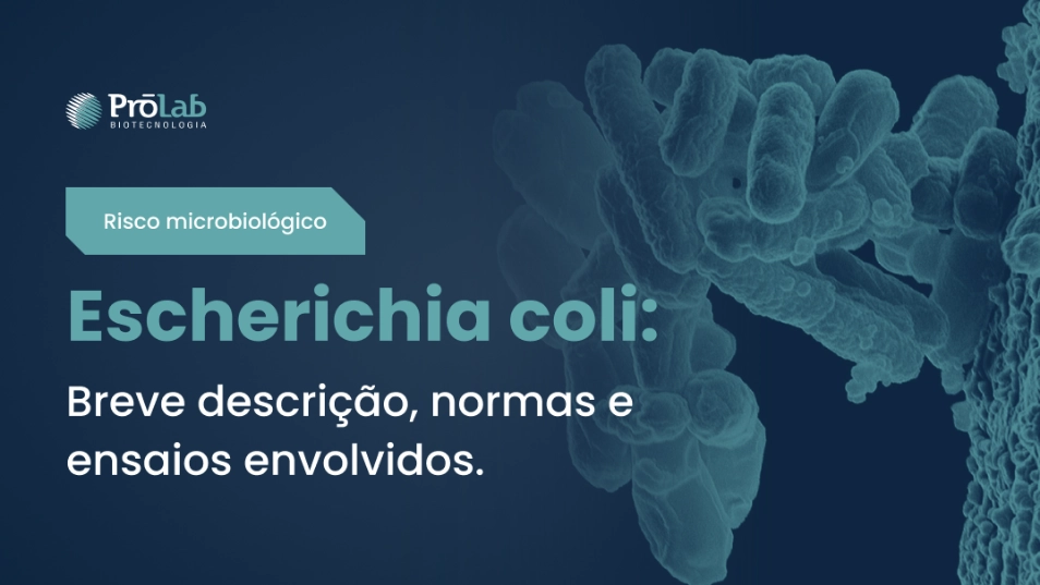 Escherichia coli: Breve descrição, normas e ensaios envolvidos.